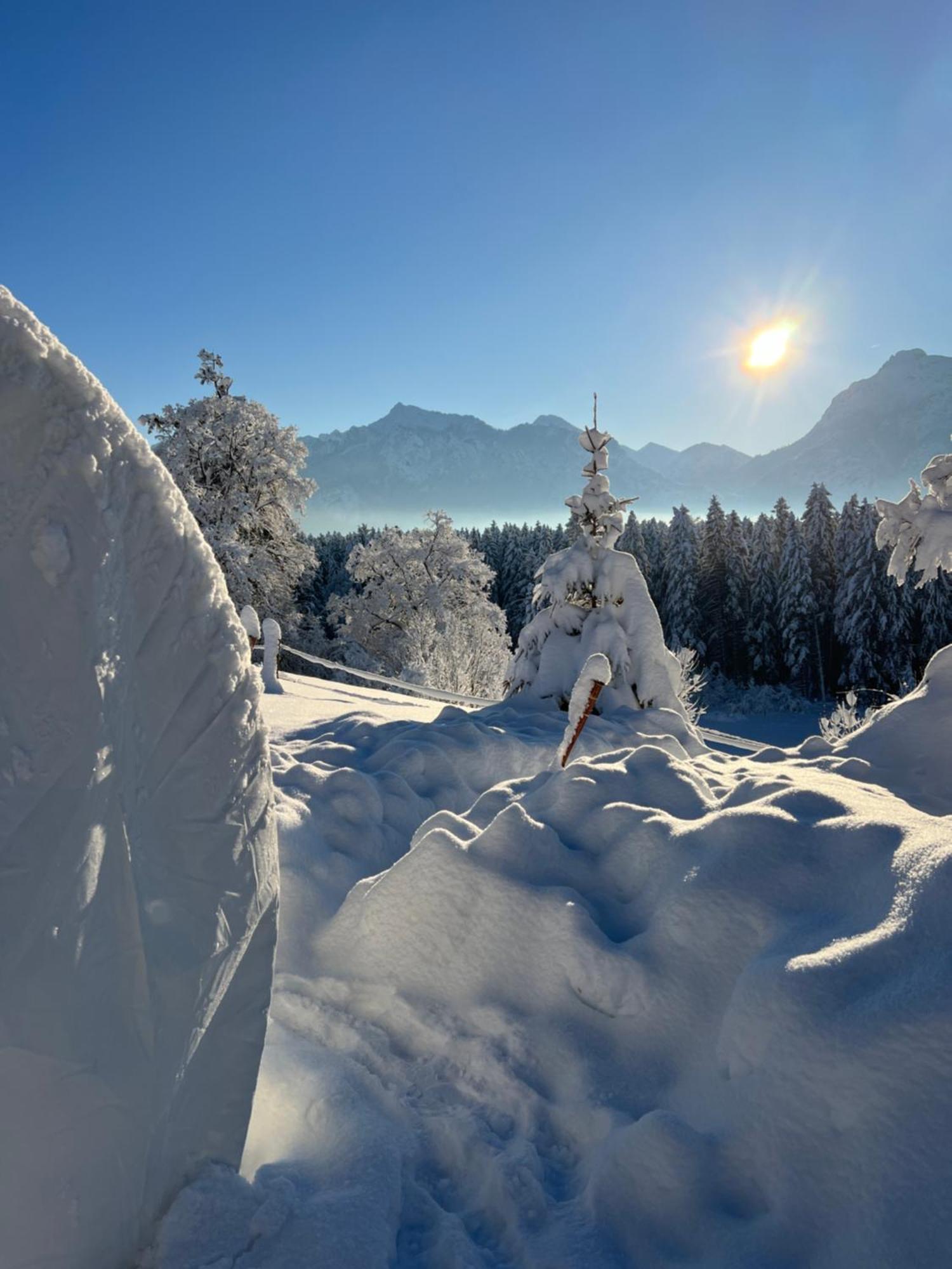 Bubble Tent Im Allgaeu * Fussen